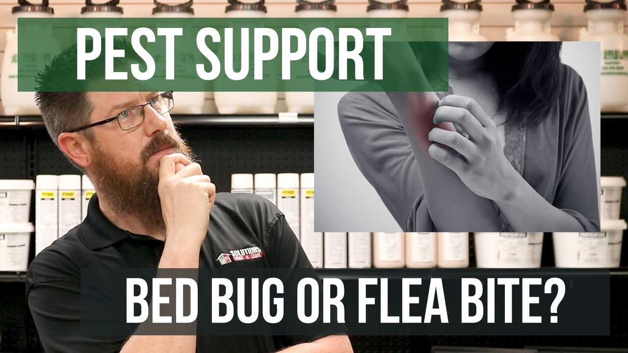Bedbug Bites vs. Fleabites: Pictures, Size, Location