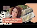 Seja como um girassol e siga a luz do sol! | Glaucia Nasser