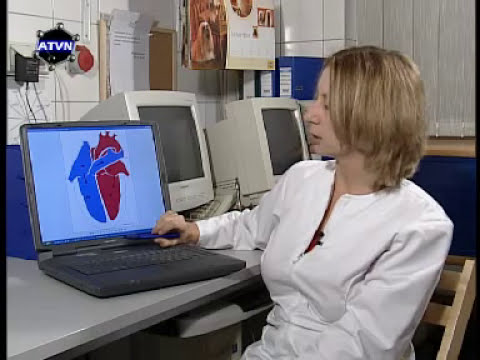 Badania kardiologiczne zwierząt cz.2(2)