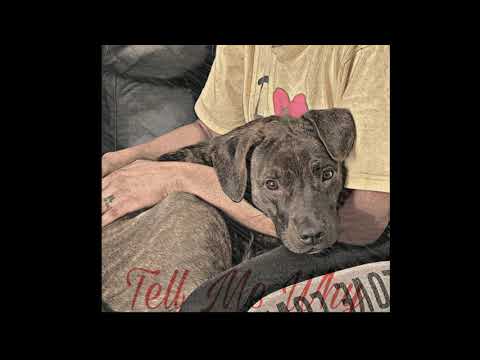 [FREE] Money Man x Dababy type beat "Tell Me Why"