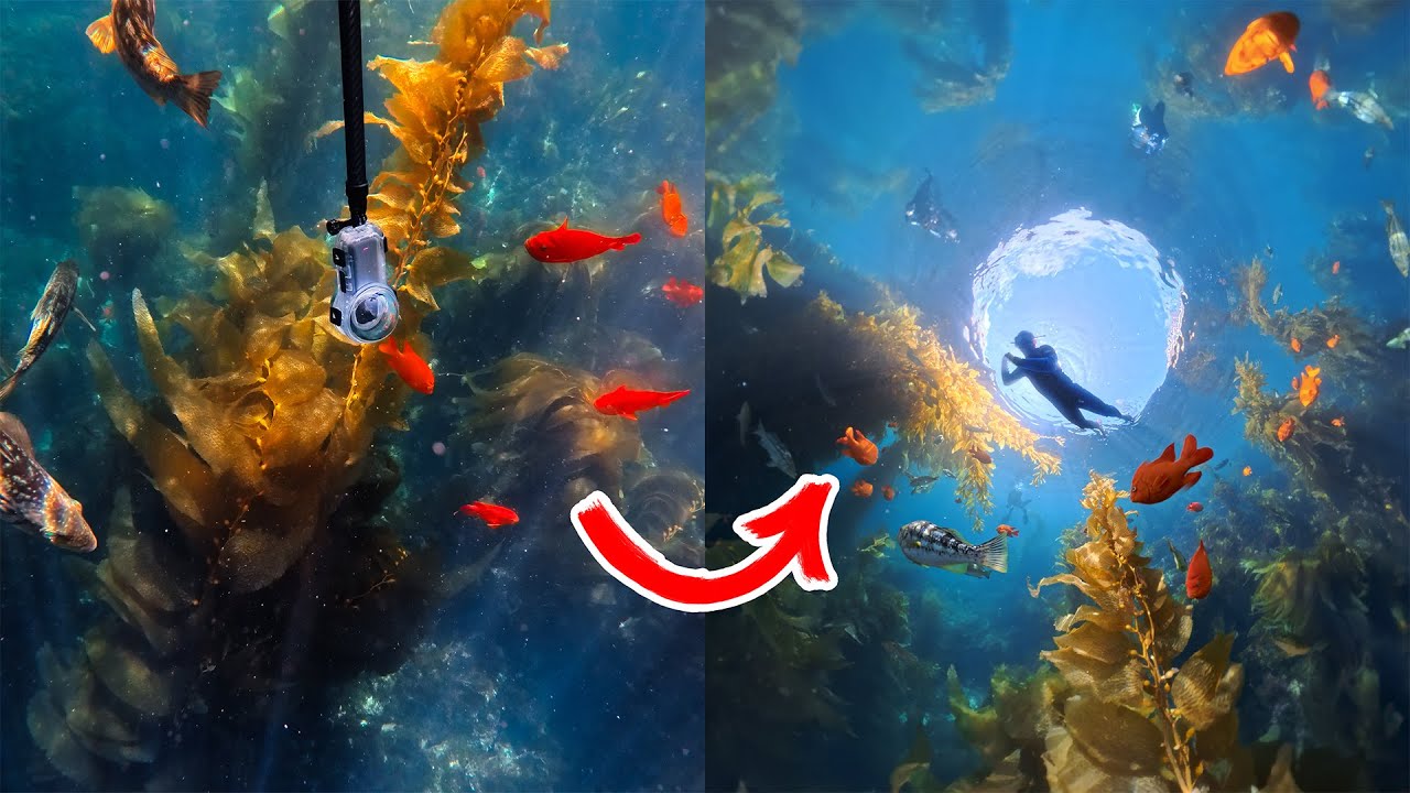 Insta360 X5 Dive Case Review & Tutorial (Unsponsored)