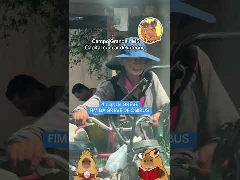 Campo Grande - Mato Grosso do Sul #campograndemsbrasil #campograndems #memes