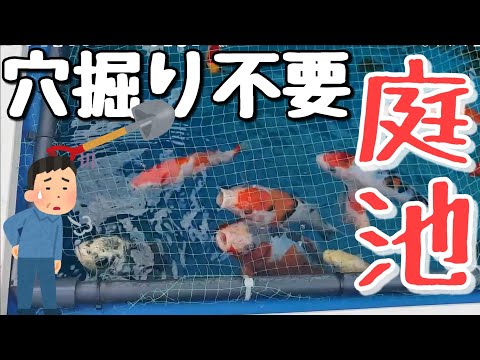 鯉の池の作り方: 作成と維持のヒント トピックス