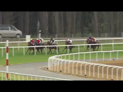 2016.06.19 Bloomers' Vase (SWE) - Ray