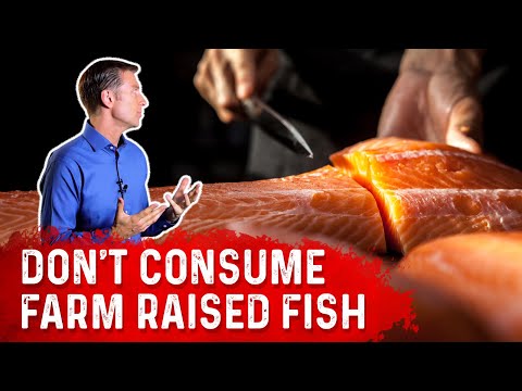 Farm Raised Fish OR Wild Caught Fish, Which Is Best To Consume? – Dr. Berg