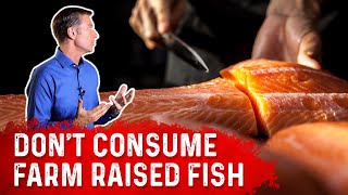 Farm Raised Fish OR Wild Caught Fish, Which Is Best To Consume? – Dr. Berg