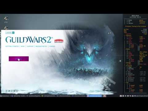 Full Play Guild Wars 2 on ArcoLinux gold Performance 👍 optimizations perfect script #6