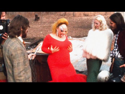 The Brutality Of PINK FLAMINGOS