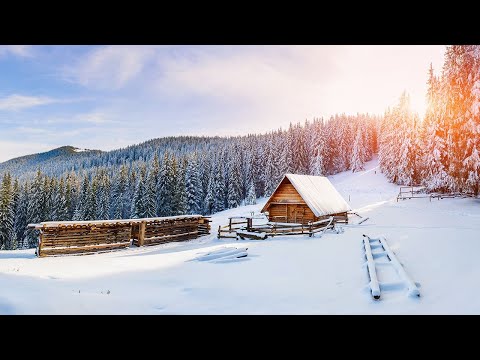 The Magic Of Christmas - Made Of Snow feat. Sarah Gardner I Christmas Song
