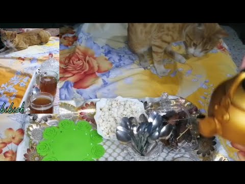 If you need to relax? watch this Drinking tea next to my cute and funny cat