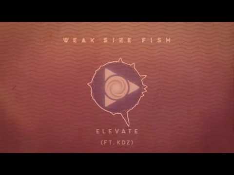 Weak Size Fish - Elevate (ft. KDZ)