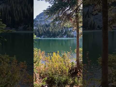 View of the beautiful lake