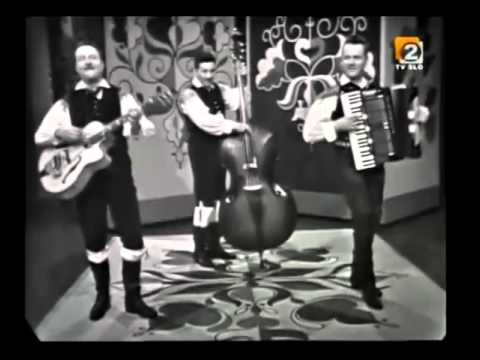 Ansambel bratov Avsenik - Pri sosedovih na obisku