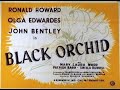 Black Orchid 1953 British Crime B Movie With Ronald Howard Olga Edwardes