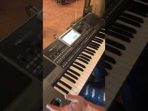 Орк. Трио северозапад - ОГИ СПЛЕТ