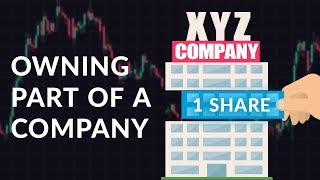 Company Shares | Trading Terms