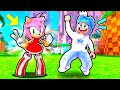 Sonic Speed Simulator Unlocking New Characters Amy And Stealth Sonic In Roblox NEW Update