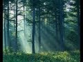 Husky Rescue | Deep Forest Green (Music Video ...