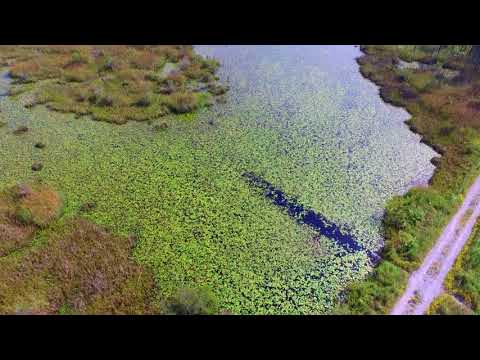 MUNEYLXRD - that's my rule remix - Bayou Paquet