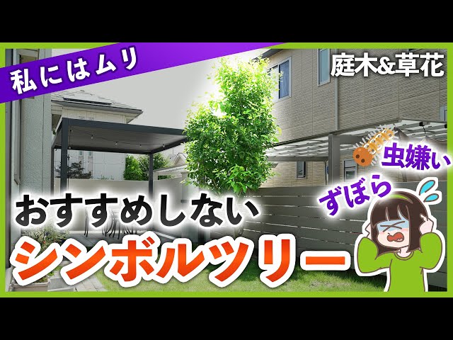 【私だったら植えない】ずぼら&虫嫌いには難易度が高い庭木&草花を一挙紹介！初心者にはおすすめしないシンボルツリー 総まとめ