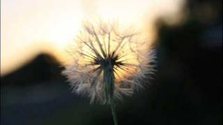 After The Sirens - Bridges Worth Burning.