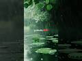 Rain Whatsapp Status ️ Rain Weather