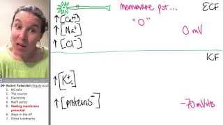 Action Potential 5- Resting membrane potential