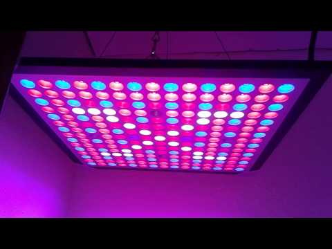 download lagu mp3 mp4 Led Grow Light Panel Review, download lagu Led Grow Light Panel Review gratis, unduh video klip Led Grow Light Panel Review