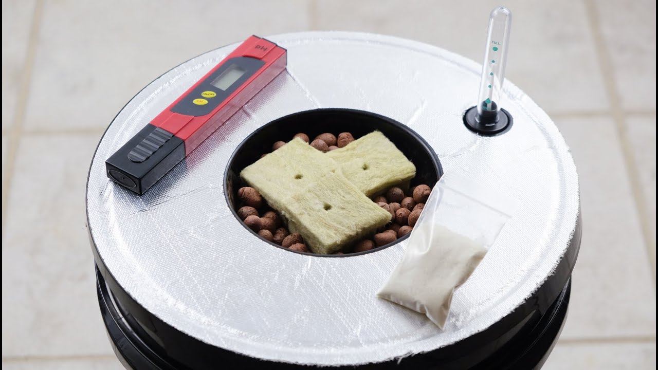 How to set up your first DWC Deep Water Culture Hydroponic System! Growing Kale in hydroponics!