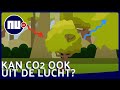 Van opvangen tot 'stofzuigen'  hoe CO2 uit de lucht kan worden gehaald