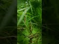 Kaal Movie Theme 2