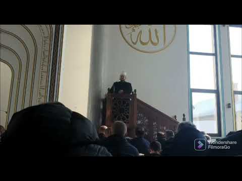 "Udaranje na čast vjernika je jedan od najvećih grijeha." Hfz.Dr.Haris-ef. Hadžić  (Hutba 14.1.2022)