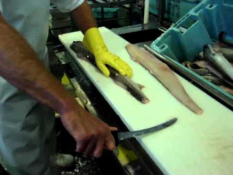 How To Fillet Rig - by Dean Grooby Knifetechnz Ltd