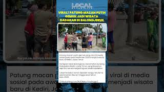 Patung Macan Putih Gemuk Sulap Pertigaan Desa di Kediri Jadi Wisata Dadakan