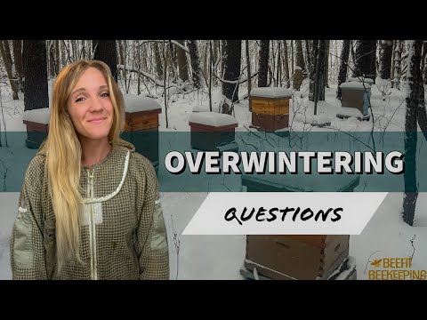 , title : 'Answering YOUR Questions About OVERWINTERING! / Beekeeping 101'
