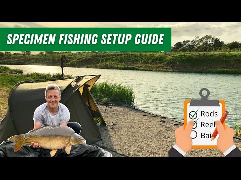 Carp Fishing: Beginners setup checklist