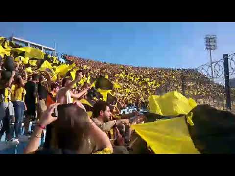 "Hinchada De Peñarol Vs. Gallina Puta / Ap. 2018 / Siempre Fuimos Mas C.A.P 1891" Barra: Barra Amsterdam • Club: Peñarol