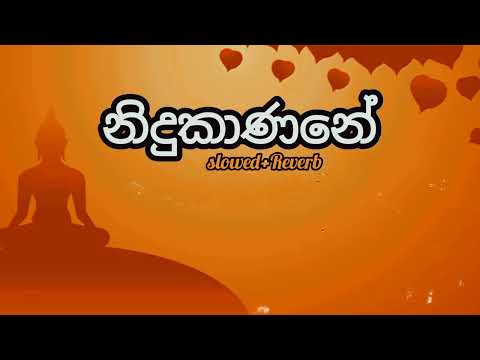 Nidukanane|නිදුකාණනේ_(slowed+Reverb)