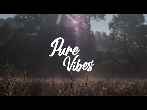 Richie Evans & Rick Ross - Can't Knock the Hustle ft. Vedo