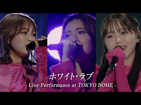 iScream「ホワイト・ラブ」Live Performance Video at TOKYO DOME