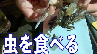 （後編）【閲覧注意】ゲテモノ料理店に潜入！はたして食べきれるのか！？【米とサーカス】