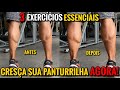 TREINO DE PANTURRILHAS / APENAS 3 EXERCÍCIOS - Davi Xavier
