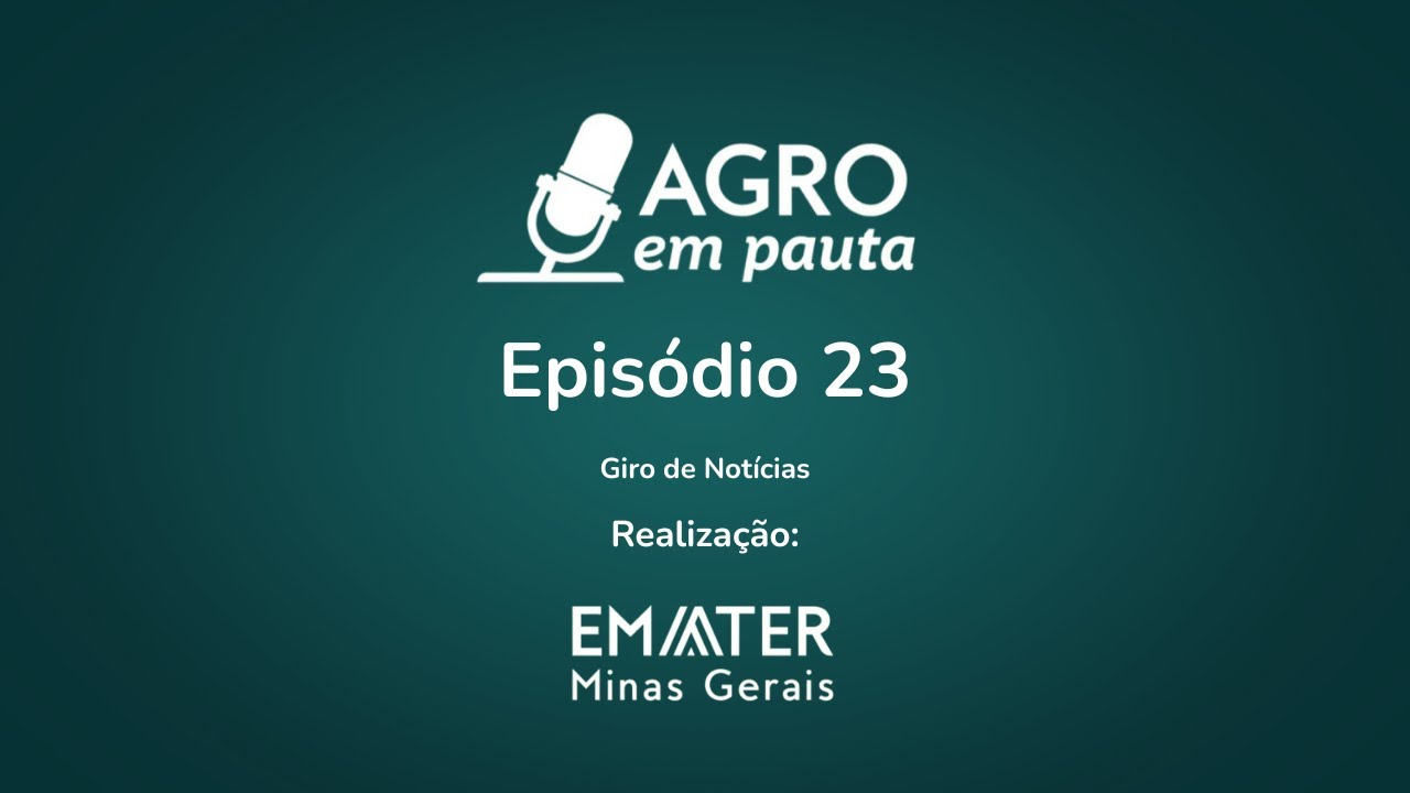 GIRO DE NOTÍCIAS - 19/08/24
