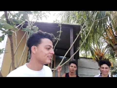 Meteoro vs Dígito Batalla de exhibición