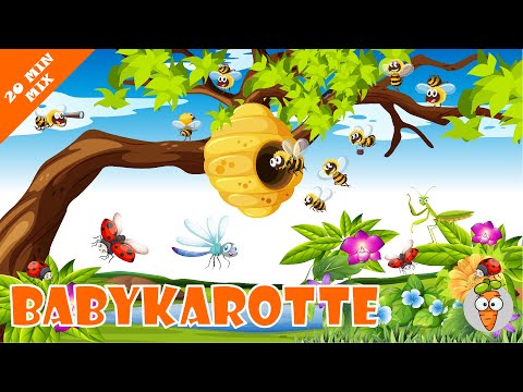 Bienen und Blumen | Cartoons und Kinderlieder