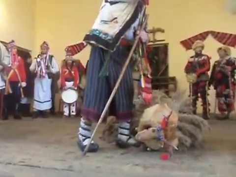 Capra din Dolhestii Mici