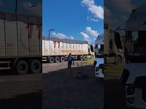 Momentos Antes da Saída - do Tubarão Cinza - da Cidade de Lebon Régis - (SC) Santa Catarina. #Shorts