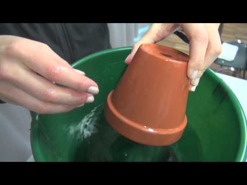 Gartentipp: Tontöpfe reinigen