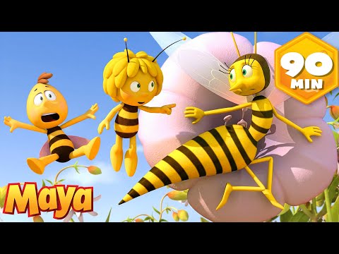 Syrphie Se Déguise Chez Les Guêpes 🐝 Maya l’Abeille | Dessin animé pour enfants