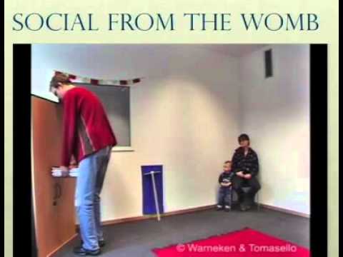 Gazzaniga social toddlers